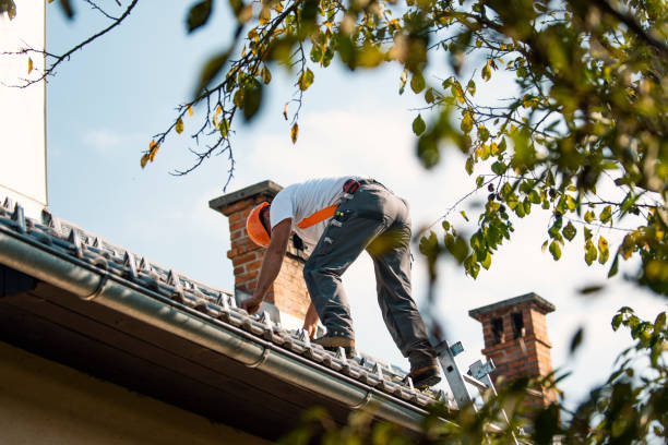 Best Roof Leak Repair  in Woodlawn, VA