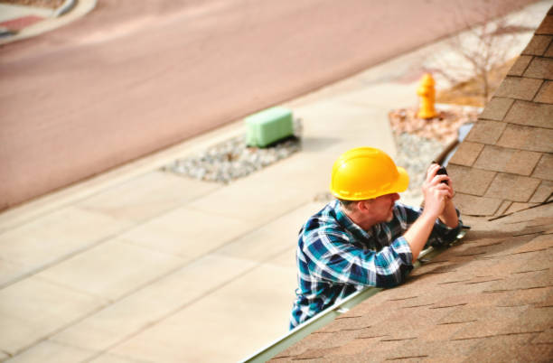 Roof Gutter Cleaning in Woodlawn, VA