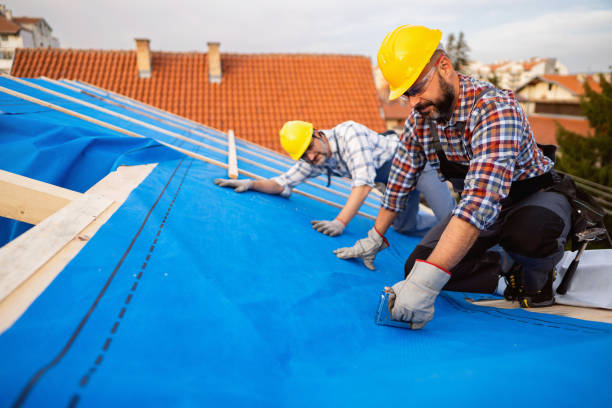 Best Roof Replacement Cost  in Woodlawn, VA