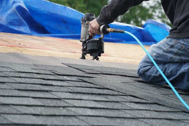 Best Roof Gutter Cleaning  in Woodlawn, VA
