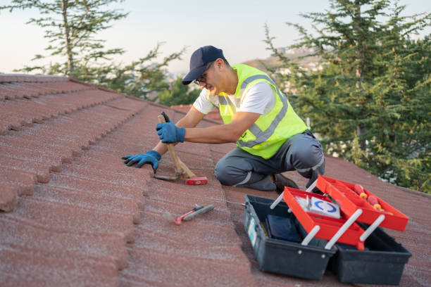 Best Metal Roofing Contractor  in Woodlawn, VA