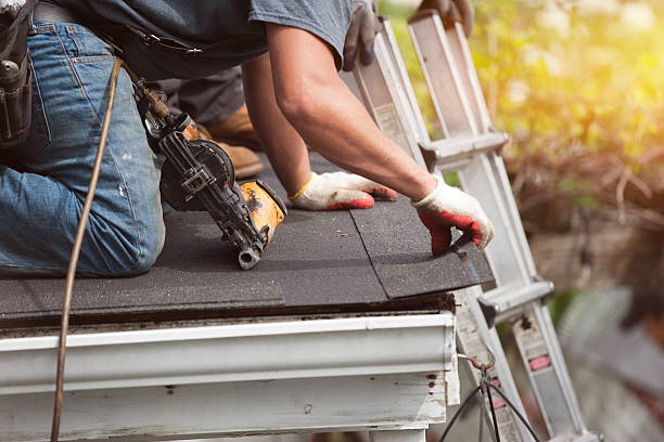Best Metal Roofing Contractor  in Woodlawn, VA